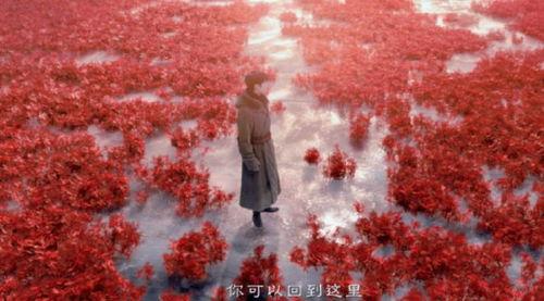 藏海花,探寻神秘古墓，揭开千年谜团