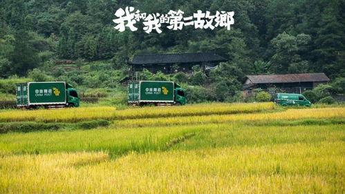 我和我的第二故乡,我与第二故乡的深情岁月