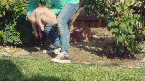 萌猪小弟,治愈系萌宠的欢乐成长记